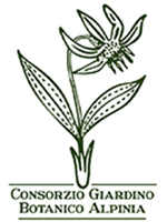 Logo Consorzio Giardino Alpinia